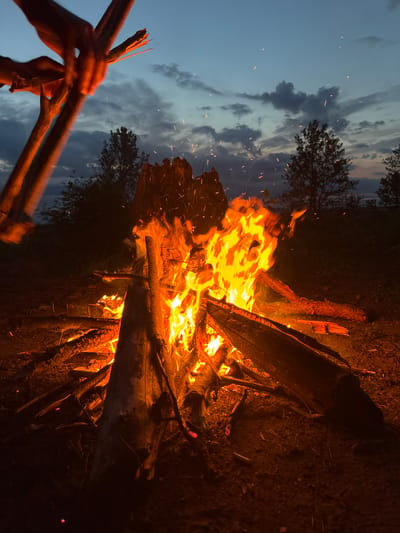 An outdoor bonfire burns brightly in the twilight, with sparks flying into the dusky sky. The fire is built with large logs and smaller branches, illuminating the surrounding ground which is covered in dirt and dry vegetation. In the foreground, two hands are visible, holding sticks that are being warmed by the flames. The background consists of silhouetted trees and a cloudy sky. The scene appears to be set in a natural environment, possibly a park or wooded area.