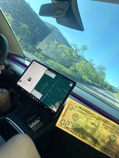 The image shows the interior of a Tesla car, viewed from the perspective of the passenger or driver. The car's large touchscreen display is prominent, showing navigation information, including a map of a mountainous, forested area and route details indicating 49 km remaining. The current speed is displayed as 81 km/h. A twenty-dollar bill is placed in the foreground, obscuring a portion of the lower right side of the touchscreen and the car's center console. The interior also features ambient purple lighting along the dashboard. The view through the windshield reveals a bright, sunny day with blue skies and lush green trees on a mountainside. The windshield appears to have several smudges or scratches. The location is identified as Kamchia, Bulgaria.