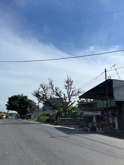 The image shows a road in Bukitrata, Indonesia, under a clear blue sky with scattered clouds. On the right side of the road, there is a building with a dark awning and a sign that reads "KEDAI KOPI" (Coffee Shop). Tables and chairs are set up outside the shop. A tall, bare tree with intricate branches stands in front of the building. To the left of the road, there is a lush green tree and several other buildings. A yellow truck and a motorcycle are visible on the road in the distance. Power lines run across the top of the image. The scene appears to be a typical street view in a town in Indonesia.