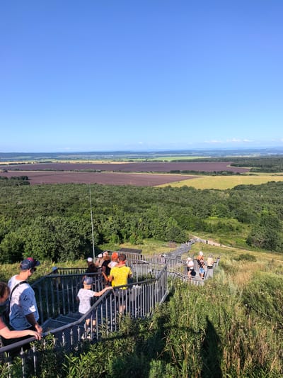 A bright, sunny day is depicted in this wide-angle shot of a group of people ascending a metal staircase on a grassy hill. The staircase is a prominent feature in the foreground, with its metallic railings and steps curving upwards and to the right. Several individuals, including adults and children, are captured in various stages of climbing. They are dressed in casual summer attire, with some wearing hats and t-shirts.
Beyond the staircase, the landscape opens up to reveal rolling hills covered in lush green trees. Further in the distance, a vast expanse of agricultural fields with distinct brown and green patches stretches across the horizon, hinting at cultivated land. The sky above is a clear, brilliant blue, devoid of clouds, suggesting a warm and pleasant climate. The overall scene evokes a sense of outdoor recreation and exploration in a rural setting. The image is likely taken in the vicinity of Akhmerovo, Russia, known for its natural beauty and scenic landscapes.