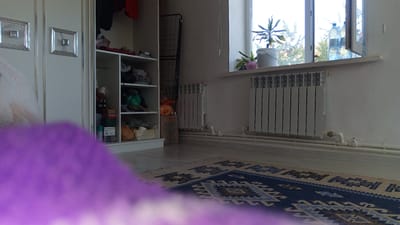 This image depicts an interior scene, likely a residential room in Maqat, Kazakhstan. In the foreground, a blurred purple object, possibly a blanket or piece of furniture, dominates the lower portion of the frame. To the left, a white closet with silver trim is partially visible, featuring decorative square inlays. Inside the open closet, shelves are stocked with various items, including clothing, bags of what appears to be food, and a doll. A metal rack stands behind the closet. The middle ground of the image reveals a wall with two white radiators mounted below a window. The window itself looks out onto a natural environment with trees. On the windowsill, there are potted plants and two large plastic bottles of liquid. A patterned rug is laid out on the floor in front of the radiators. The overall impression is of a lived-in space.