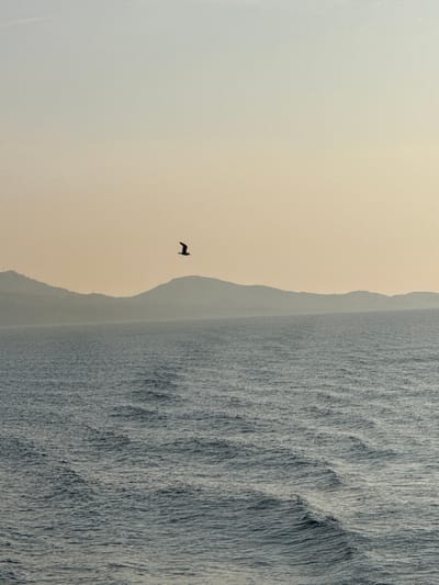 The image depicts a seascape with a distant landmass under a hazy sky, situated in Palaiopoli, Greece. The foreground and midground are dominated by dark blue-grey water, exhibiting a textured surface of numerous small waves and faint parallel wake lines. In the background, a range of undulating hills or mountains appears as a dark, hazy silhouette against the sky. The sky transitions from a light, warm yellow-orange hue near the horizon to a lighter, pale blue towards the top. A single bird, rendered as a dark silhouette, is captured in mid-flight in the upper-middle left portion of the sky, its wings outstretched. No other subjects or objects are discernible. The scene suggests either dawn or dusk lighting conditions.