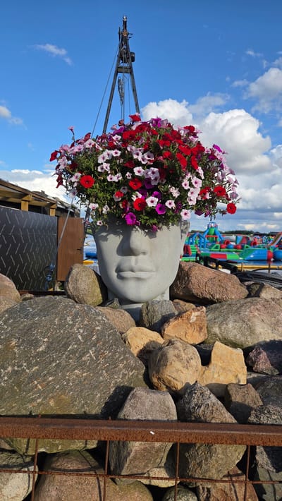 The image depicts a concrete planter shaped like a face, filled with red, pink, and white petunias, situated amidst a collection of large rocks. Behind the planter, a section of a wooden structure is visible, and further in the background, there is a body of water with a colorful inflatable water park. The sky is blue with scattered white clouds. A tall metal structure with pulleys is also present in the upper left portion of the image. The scene is located in Jaunmārupe, Latvia.