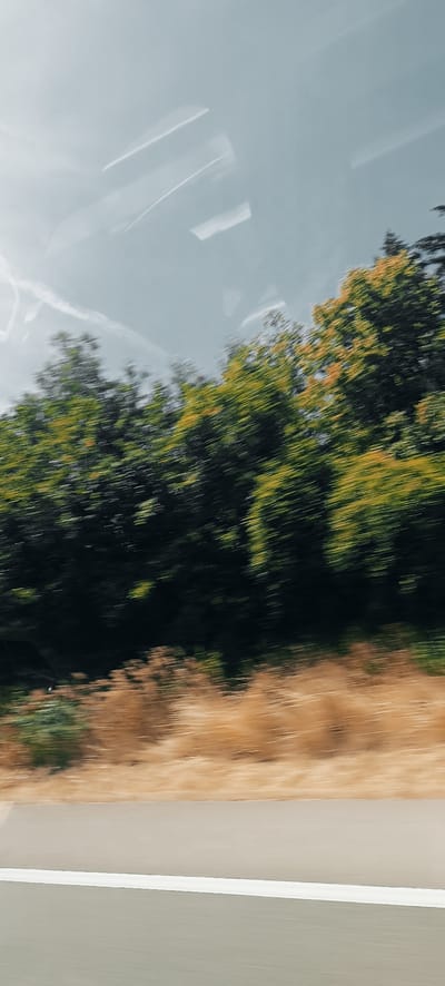 The image depicts a blurred view of a roadside scene, likely captured from a moving vehicle. In the foreground, a light gray asphalt road with a prominent white line is visible. Beyond the road, a band of dry, tan grass and vegetation stretches horizontally. Further back, a dense line of trees with green and yellow foliage forms a background, with some lighter areas suggesting sunlight filtering through. Above the trees, a pale blue sky is visible, with streaks of white that could be clouds or contrails. The overall impression is one of motion and a fleeting glimpse of a landscape. The specific location in Schwaikheim, Germany, cannot be definitively determined from the visual information alone; it is a general roadside view. There are no people or discernible objects that would indicate a specific landmark or unique feature of Schwaikheim.
