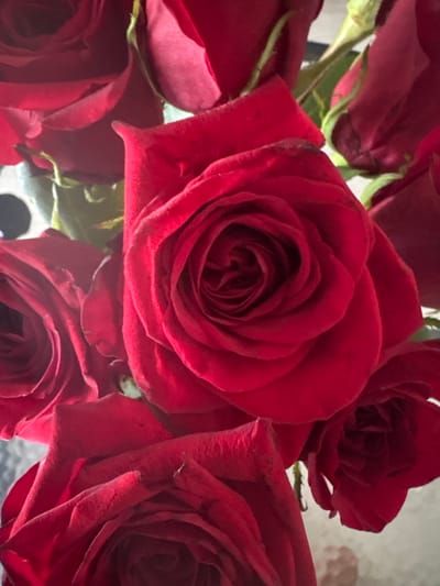 A close-up, overhead shot captures a bouquet of vibrant red roses. The roses are predominantly in focus, with their velvety petals displaying a rich, deep red hue. Some roses are fully bloomed, revealing intricate spiral patterns at their centers, while others appear as buds or partially opened flowers. Green stems and leaves are visible interspersed among the blooms, adding a touch of contrast. The background is softly blurred, suggesting a shallow depth of field, and hints at a neutral, possibly indoor setting. There are no people or discernible actions present in the image. The lighting appears to be natural or soft artificial light, highlighting the texture and form of the rose petals.