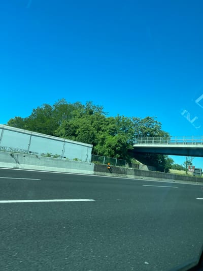The image shows a view from a moving vehicle on a highway near Castrocielo, Italy. The sky is clear blue. A highway overpass is visible. The road has white lane markings. A noise barrier is on the side of the road. A sign indicating "A1 430" is present. Vegetation, including trees, is along the highway.