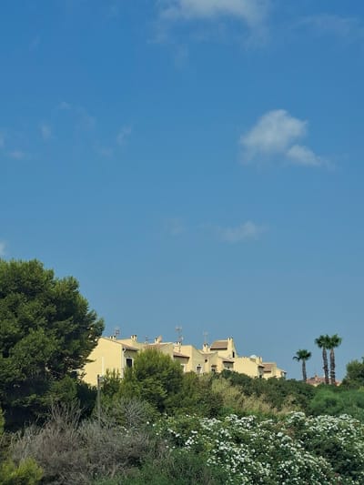 In the city of Urbanización La Cenia, Spain, a row of yellow buildings with terracotta roofs is situated on a hillside, partially obscured by lush green foliage and trees. A dense undergrowth of bushes, some with white flowers, covers the foreground. Several palm trees are visible to the right of the buildings. The sky above is a clear, bright blue with a few scattered white clouds. The scene is bathed in daylight, suggesting a sunny day.