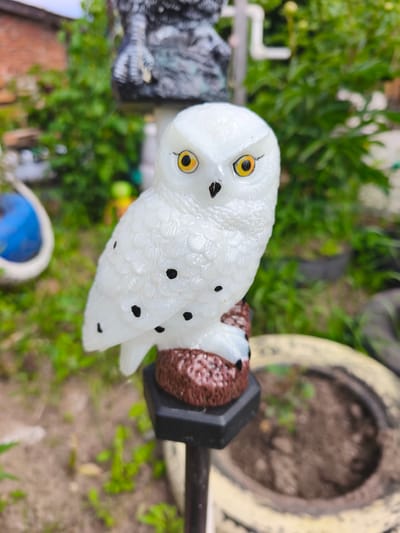 A close-up, eye-level outdoor shot shows a decorative white owl statue with black spots and yellow eyes. The owl is perched on a textured brown base, which sits atop a black hexagonal mount. This mount is attached to a dark pole that extends downwards out of frame. The owl's body is textured to resemble feathers. In the background, out of focus, are green foliage, a brick wall on the left, and parts of what appear to be tires and garden planters. The image does not contain any discernible landmarks that would definitively place it in Puchezh, Russia.