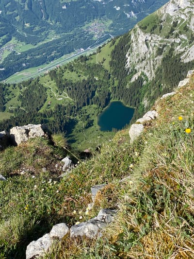 The image presents a high-angle, landscape view of a mountainous region in Axalp, Switzerland. The foreground is dominated by a rocky, grassy slope with scattered small white and yellow wildflowers. Large, light-colored rocks are interspersed with the vegetation.

In the mid-ground, a dark, heart-shaped lake is nestled within a lush, green valley. The lake is surrounded by dense coniferous forests that climb the slopes of the mountains. Several winding dirt paths are visible within the forested area, leading towards scattered buildings.

The background reveals a wider valley with a town or village situated on the right side. A road or railway line runs horizontally through the valley, bordered by fields and more trees. The distant mountains are covered in a mix of trees and sheer rock faces, with some patches of snow or lighter-colored rock. The sky is clear and blue, suggesting a sunny day. The overall impression is a serene and picturesque alpine environment.