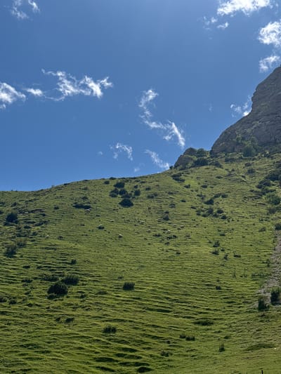 The image depicts a steep, grassy mountainside under a bright blue sky with scattered white clouds. The hillside is covered in lush green grass with visible terracing or contours running horizontally across it. Numerous dark green bushes are interspersed across the slope. Several sheep, appearing as white dots, are scattered throughout the middle and upper sections of the hillside, grazing. In the lower middle section of the hillside, there are a few dark figures that appear to be horses. At the top right of the image, a rocky, grey cliff face rises sharply against the sky. The scene is a natural, rural landscape, likely a pasture on a mountainside in El'tiubiu, Russia, given the prompt.