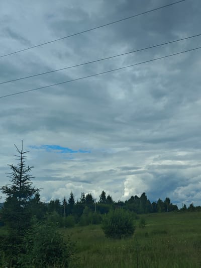 The image depicts an outdoor scene in the village of Repnikovo, Russia, under a heavily clouded sky. In the foreground, a sparsely needled evergreen tree stands on the left, with a patch of tall green grass and some wildflowers to its right. Further back, a line of mixed deciduous and evergreen trees forms a dense forest bordering a field. Power lines are visible stretched across the upper portion of the frame against the gray, overcast sky, with a small patch of bright blue sky peeking through a gap in the clouds. The overall impression is a natural landscape, likely rural, with evidence of utility infrastructure.