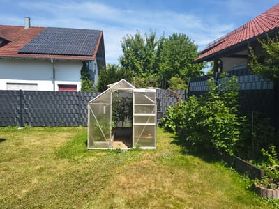 The image shows a backyard scene in Reisbach, Germany. In the foreground, a small, transparent greenhouse with white framing stands on a grassy lawn. The lawn is a mix of green and dry, patchy grass. Behind the greenhouse, a dark gray, slatted fence runs horizontally across the image. To the left of the fence, a white house with a red-tiled roof is partially visible. The roof is covered with solar panels. To the right of the greenhouse, a lush green bush is growing next to the fence. In the background, several large trees with green foliage are visible, and a bright blue sky with white clouds is overhead. The overall impression is a sunny, residential backyard. There are no people visible in the image.
