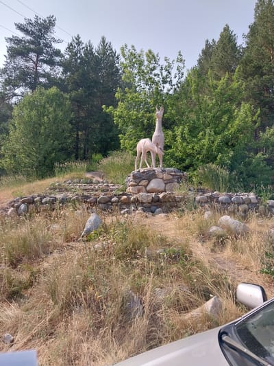 The image depicts an outdoor scene in Belokurikha, Russia. In the center, a stone monument features two beige statues of deer, one larger and one smaller, positioned on a tiered base constructed from rocks. The surrounding environment is characterized by dry, tall grass and scattered rocks, with a path leading away from the monument. Behind the monument, a dense forest of green trees forms the backdrop, under a clear sky. In the foreground, the hood and side mirror of a light-colored car are visible, suggesting the viewer is observing the scene from a vehicle. The lighting indicates it is daytime, likely with bright sunlight.