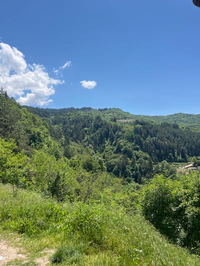 The image shows a landscape in Kovachevitsa, Bulgaria. A densely forested mountainside occupies the center of the frame, with a vibrant green canopy. A clear blue sky with scattered white clouds is visible above the mountain. In the foreground, a path or clearing with grassy vegetation is visible on the right side of the image.