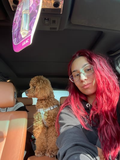 A woman with red hair and glasses is in a car. She is wearing a black hoodie. Next to her is a brown poodle wearing a gray and white harness. In the foreground, a lilac-scented air freshener is visible. The interior of the car includes black surfaces and brown leather seats. The location is likely not Muselievo, Bulgaria, since the image does not contain enough information to determine the location of the city.