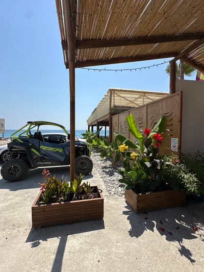 In Kissonerga Community, Cyprus, this image captures a sunny outdoor scene with a rustic ambiance. In the foreground, a wooden planter box holds lush green plants with vibrant red and yellow flowers, casting distinct shadows on the concrete ground. To the left, a dark gray and neon green Polaris RZR UTV is parked, with a white car partially visible behind it. Beyond the UTV, the azure sea stretches to the horizon under a clear blue sky. Overhead, a pergola constructed with bamboo poles and natural reed covering provides shade, with string lights adorning its structure. A wooden partition with decorative cutouts stands to the right of the UTV, partially obscuring a building with a translucent roof. A sign is attached to the wooden partition, reading "SORRY DOGS NOT ALLOWED" with a crossed-out dog symbol. The overall impression is a relaxed, coastal environment, possibly a restaurant or beachside establishment.