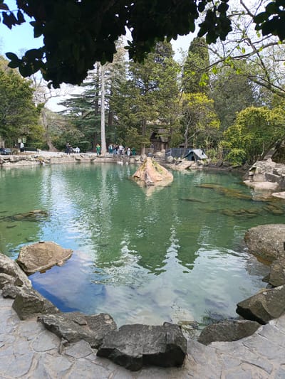 A scenic view captures a tranquil pond in Верхореченское сельское поселение, Ukraine. The water has a greenish hue, with the bottom visible in the shallows. Various sizes of rocks are arranged along the edges of the pond.
In the background, a group of people is gathered near the water's edge. There are trees and foliage, creating a natural backdrop. A small structure, possibly a shed or aviary, can be seen among the trees. A gray tent structure is also visible.
The foreground features large, dark-colored rocks. The overall scene suggests a park or nature reserve.