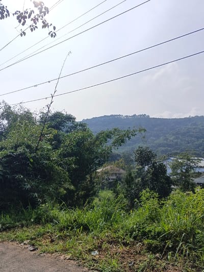 This media file presents a vibrant, sunny landscape view, likely set in Meilangtlang, Myanmar. The scene is dominated by lush green vegetation, suggesting a rural or semi-rural environment.

In the immediate foreground, the edge of a road or path is visible on the left, bordered by a dense patch of wild grass and low-lying shrubs. Further into the midground, a variety of green trees and bushes, including bamboo, create a thick canopy. Through an opening in this foliage, a light-colored, multi-story building or house with an extended porch or veranda can be seen, nestled among the trees. To the right, another structure with a light roof is partially visible.

The background features a range of rolling hills or mountains, entirely covered with dense forests, extending across the horizon. A distinct line of trees, possibly pine, crowns the ridge of the distant hills.

The sky is bright and appears mostly clear with some faint clouds. Several parallel power lines with insulators stretch across the upper portion of the frame, indicative of some infrastructure in the area. The sun is high and bright, causing a lens flare in the upper left corner and casting strong illumination over the entire scene. A few tree branches with leaves hang into the top-left, partially silhouetted against the bright sky. No people or visible text are present in the image. The time of day appears to be late morning or early afternoon, characterized by the bright, overhead sunlight.