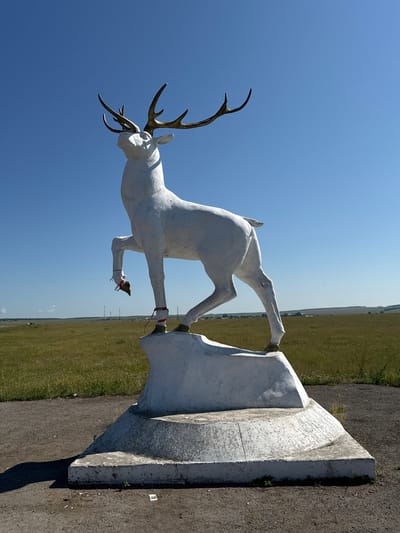 An outdoor, eye-level, full shot shows a white sculpture of a reindeer with large, bronze-colored antlers, standing on a white base. The reindeer is facing left, with its head tilted up and its left front leg raised. Red ribbons are tied around the reindeer's left leg and its back right leg. The sculpture is situated on a tiered, white concrete pedestal. Behind the sculpture, a vast, flat, green field stretches to the horizon, dotted with small white wildflowers. In the distance, a few scattered buildings and tall, thin structures, possibly utility poles, are visible. The sky above is a clear, bright blue. The ground in front of the sculpture is a dark, gravelly surface with some scattered debris. The overall scene suggests a roadside monument or marker in a rural or semi-rural area.