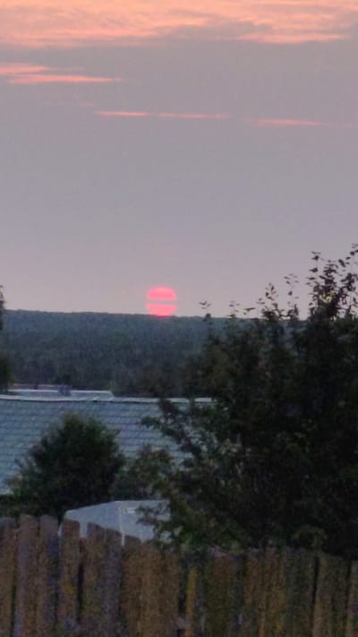 The image depicts a sunset scene in Yurla, Russia. A bright pink sun is visible on the horizon, partially obscured by trees. The sky is filled with soft pink and grey clouds. In the foreground, there is a wooden fence and the roof of a building. A large evergreen tree is situated to the right of the frame, and other trees and foliage are scattered throughout the scene.