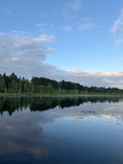 The image depicts a serene lake scene in the city of Pchelka, Russia. A dense forest lines the far shore, with its reflection shimmering on the calm water's surface. The sky above is a pale blue, dotted with scattered clouds, some tinged with the soft hues of dawn or dusk. Lily pads float gently on the water, adding to the tranquil atmosphere. The overall impression is one of peaceful solitude and natural beauty.