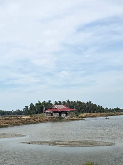 The image depicts a serene, overcast day in Punti, Indonesia. In the foreground, a calm body of water, possibly a pond or shallow lake, dominates the scene, with visible sandbars and muddy patches. A solitary white egret stands near the water's edge, facing towards a rustic wooden building with a red tin roof. This structure is situated on a raised embankment lined with lush green palm trees and other vegetation. In the distance, a person is visible in a small yellow boat, tending to an aeration device in the water. The sky above is a pale blue, partially covered with soft, wispy clouds. The overall impression is one of peaceful rural life, likely a fish farm or a similar agricultural setting.