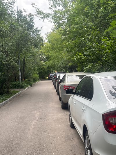 The image depicts a narrow asphalt road with a curb on the left side, bordered by a dense green area of trees and foliage. Several cars are parked in a line along the right side of the road, facing away from the viewer. The cars are of various colors, including white, light gray, and black. The closest car is white and its rear is prominently featured. The sky is overcast. The scene appears to be in a residential area, possibly in Dedovsk, Russia, given the presence of a streetlamp on the left and the overall urban greenery. There are no people visible in the image.