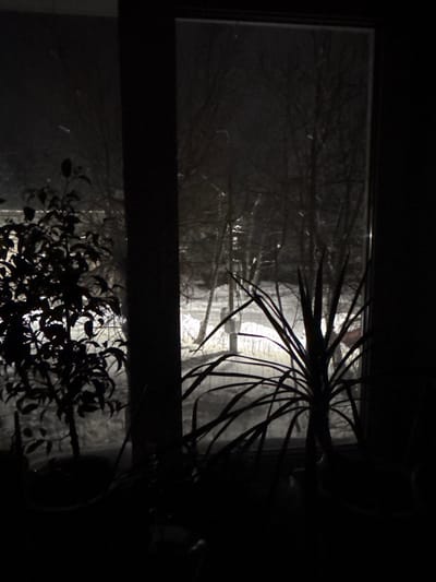 A dark, indoor scene features a window view of a snowy night. Bare trees and a street lamp are visible through the frosted glass. Silhouetted houseplants flank the window frame, adding depth and texture to the interior space. The contrast between the illuminated outdoor scene and the darkened foreground creates a sense of enclosure and quiet observation.