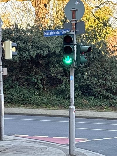 This outdoor daylight photograph captures a street intersection in Aachen, Germany, at Maastrichter Straße. A primary grey traffic light pole stands in the midground, featuring a vertical traffic signal head. The lowermost lamp of this signal emits a green light shaped like a cannabis leaf, indicating a "go" signal. Above it, two dark lamp housings are present. To the right of the main signal, a smaller, horizontal traffic light assembly displays a red signal. A beige pedestrian traffic light housing is visible to the left. A blue rectangular street sign with white lettering, reading "Maastrichter Straße," is attached to the main pole. The background consists of dense green foliage, likely bushes or trees, with sunlit bare tree branches visible above. The foreground displays a grey paved sidewalk that transitions into a red-painted section with white dashed lines, bordering a grey asphalt road marked with white lines. No individuals or vehicles are present in the scene.
