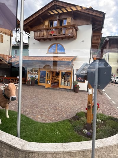 The image depicts a street scene in Cavedago, Italy, featuring a building with traditional alpine architecture. The building has a white facade with dark wooden trim and balconies, a steeply pitched roof, and decorative wooden eaves. The ground floor houses a shop with a wooden-framed glass facade, displaying signage that reads "La bottega del formaggio el ciase". Inside, cheese products are visible. Four individuals, two women and two men, are standing near the entrance of the shop, holding potted plants. In front of the shop, a life-sized statue of a cow with a bell around its neck stands on a patch of grass. The street is paved with cobblestones, and a sidewalk with a flower bed and a signpost is visible to the right. The background shows other buildings and a hillside with trees. The sky is overcast.