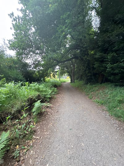 A narrow gravel path stretches into the distance, flanked by dense foliage on either side, creating a tunnel-like effect. The path appears to be slightly elevated and slopes gently upwards. The vegetation is predominantly green, consisting of trees and undergrowth, some of which are ferns. A utility pole is visible in the distance along the path. No people are visible. The location is El Pino, Spain.