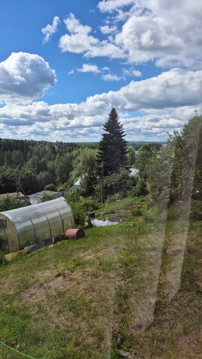 This image depicts a rural landscape in Mashezero, Russia, under a partly cloudy sky. In the foreground, a grassy slope leads down towards a garden area. A large, clear-plastic greenhouse is situated on the left, with a red barrel next to it. Further into the garden, there are some planted rows covered with white sheeting and yellow markers, suggesting cultivation. Several trees are scattered throughout the scene, including a tall, prominent evergreen tree in the mid-ground. Beyond the immediate garden, there is a dense forest, and in the distance, a body of water is visible. Several houses with visible rooftops are interspersed within the trees. The overall impression is of a rural dacha or country home setting during daylight hours.
