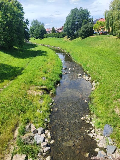 The image depicts a picturesque, sunlit scene of a small, clear stream winding through a grassy embankment. The stream's bed is visible, filled with pebbles and rocks, and the water flows gently. Lush green grass covers the slopes on either side of the stream, with some areas of longer, wilder vegetation near the water's edge and on the left bank. Large, mature trees with full, leafy canopies cast dappled shadows on the grass, particularly on the left side of the image.
In the background, beyond the grassy banks and trees, hints of a small town or village are visible. Several buildings with terracotta-tiled roofs, typical of Central European architecture, can be seen nestled among more trees. A few cars are parked in a row along the street in the distance, suggesting a residential area. A weeping willow tree with its characteristic long, drooping branches adds a graceful touch to the right side of the background.
The sky is a bright blue with scattered, fluffy white clouds, indicating a pleasant, fair-weather day, likely late morning or early afternoon due to the strong sunlight and clear shadows. The overall atmosphere is tranquil and serene, evoking a sense of natural beauty and peaceful coexistence with a small human settlement. There is no visible text in the image. The location context is Nový Jičín, Czechia.