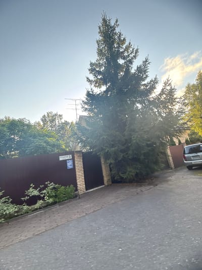 The image captures a street scene in Yukki, Russia, on a clear day. Dominating the frame is a large evergreen tree, likely a spruce, casting a shadow over a paved road and a brown metal fence. The fence is supported by brick pillars and has a gate. A sign on the fence reads "ПОГРАНИЧНАЯ 3" (Pogranichnaya 3), indicating the street name and house number. To the right, a silver minivan is parked on the roadside. Behind the fence, dense green foliage and the roof of a house are visible. An old television antenna is mounted on a pole against the sky. The ground is a mix of asphalt and paved walkway. The lighting suggests it is either early morning or late afternoon.