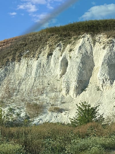 This is a photograph of a chalk cliff face in Vorobyevka, Russia. The cliff is predominantly white and appears to be made of a soft, porous material, with visible stratification. There are several indentations and formations on the cliff face, suggesting erosion.

The top of the cliff is covered with dense green vegetation, appearing as a thick line of bushes or trees. Below this vegetation, the cliff face is sparsely covered with dry grass and some small, scattered plants.

In the foreground, there is a dense growth of various plants, including tall grasses in shades of brown and green, as well as some leafy green plants. A few small trees are also visible in the foreground, adding to the natural landscape.

The sky above is a clear blue, with a few scattered white clouds. A dark, wispy streak, possibly smoke or a cloud formation, is visible across the upper portion of the image, extending from the top left towards the right. The lighting suggests it is daytime, likely with the sun illuminating the cliff face from the side, casting shadows that highlight its texture and features. There are no people or animals visible in the image.