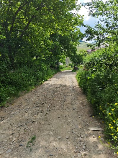 The image shows a gravel path winding uphill through a lush green landscape in Bazum, Armenia. The path is flanked by dense vegetation and mature trees, with sunlight dappling through the leaves. In the background, a rural dwelling with a red-tiled roof is partially visible, nestled among the greenery. Beyond that, rolling hills covered in grass and scattered trees extend towards a bright, cloudy sky. The overall scene depicts a serene, natural environment within a rural Armenian setting.