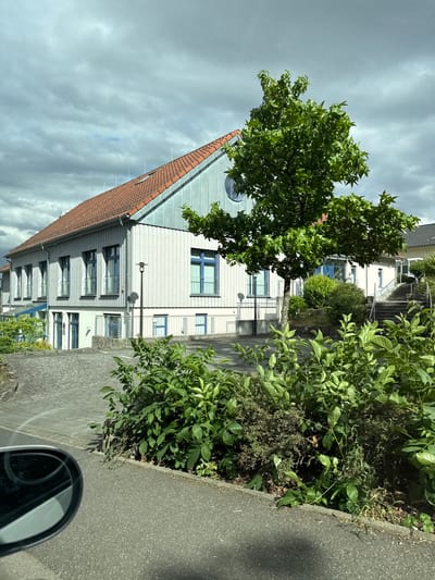 The image shows a two-story building with a red tiled roof and light-colored siding, likely a school or administrative building, situated in Niederwetz, Germany. The building features numerous windows with blue frames, some with decorative metalwork. A young tree with lush green foliage stands in front of the building. The foreground shows a paved area and dense green bushes and vegetation. A car's side mirror is visible in the lower-left corner, indicating the photo was taken from inside a vehicle. The sky is overcast with heavy clouds.