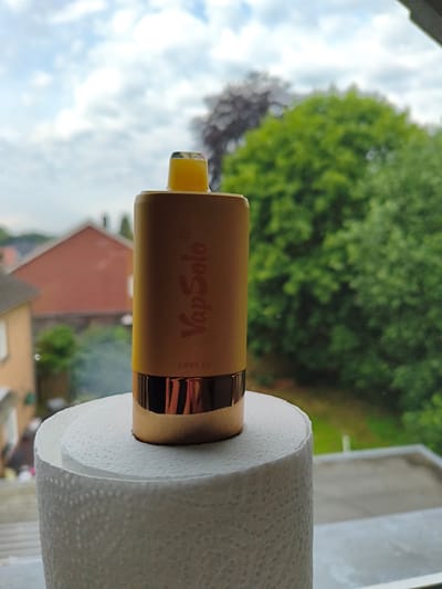 A close-up, slightly angled shot shows a yellow and gold vape device standing on a roll of white paper towels. The vape device has the text "VapSolo" and "LOVE 66" printed on it. The background is blurred, showing a suburban setting with houses and lush green trees under a cloudy sky. The scene appears to be set outdoors, possibly on a windowsill or balcony overlooking a residential area. The image does not provide specific information about Papenburg, Germany, but the architectural style of the houses in the background might suggest a European location.