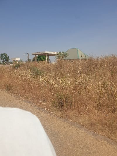 The scene depicts an outdoor environment in Kujama, Nigeria, under a clear blue sky. The foreground features a paved roadway, partially obscured in the lower-left by a large, curved white object, likely part of a vehicle interior. To the right of the roadway and extending into the mid-ground is a dense field of dry, straw-colored vegetation, consistent with tall grass or stubble in a dry season. In the background, a white, flat-roofed canopy structure, typical of a fuel station, is visible, bearing the text "S-M PETROLEUM" on its front fascia. To the left of this main structure, a smaller, similar canopy is present. Adjacent to the right of the primary canopy, a building with a green, pyramidal roof is partially visible above the vegetation. Sparse green trees are scattered throughout the background. No individuals or active subjects are present within the frame.