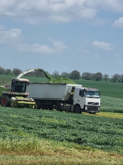 The image shows agricultural harvesting in a field in Ovcharovo, Bulgaria. A Claas Jaguar forage harvester is cutting a green crop, likely grass or hay, and is simultaneously loading it into a white Volvo truck moving alongside. The sky is partially cloudy. The trees on the field appear to be a shade darker.