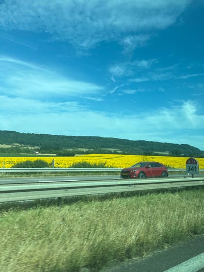 A red car travels on a highway, alongside a field of vibrant yellow sunflowers. Lush green trees border the sunflowers. The highway has a sign that reads "A31 341". The sky above is a bright blue with scattered white clouds. A grassy area is on the right side of the road. The photo appears to be taken from inside a vehicle, likely another car on the same highway.