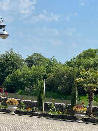 The image depicts a waterfront scene in Machara, Abkhazia, on a clear day with scattered clouds. In the foreground, a paved pathway with a textured surface runs horizontally across the bottom of the frame. A low stone wall borders the pathway and separates it from a body of water. Several decorative planters with various plants and flowers are placed along the wall. To the left, a large white urn holds a bushy, light brown plant. Further along the wall, smaller orange flowers bloom. To the right, another white urn contains a mix of red and green foliage. A tall, slender cypress tree stands behind the urn on the right. A palm tree with fronds extending upwards is visible to the far right. In the background, a dense line of lush green trees forms a natural backdrop. The body of water appears calm, with reflections of the trees on its surface. A lamppost with a spherical light fixture is partially visible in the upper left corner. No people are visible in the image.