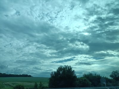 This image depicts a rural landscape under a dramatic, cloudy sky. The foreground features a dense line of trees and bushes, with a hint of a metal barrier suggesting a road or pathway. Behind this, a vast, green field stretches out, appearing to be agricultural land. In the distance, a line of trees forms the horizon, with two tall power line towers visible on the left, hinting at human infrastructure within the natural setting.
The sky dominates the upper portion of the image, filled with a complex pattern of grey and white clouds. The lighting suggests it is either early morning or late afternoon, as the sun is not directly visible but casts a diffused light that highlights the textures and depths of the clouds. The overall atmosphere is somewhat subdued, possibly conveying a sense of calm or even a touch of melancholy due to the overcast conditions. The color palette is dominated by greens and blues, with muted tones throughout. No people or specific objects of interest beyond the natural elements and infrastructure are clearly discernible. No text is visible in the image. The location is identified as Divišov, Czechia, providing geographical context to the European rural scenery.