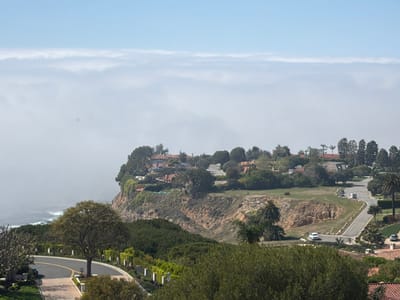 This image presents an elevated view of a coastal residential area in Rancho Palos Verdes, United States of America. A dense marine layer extends horizontally, obscuring the ocean and lower atmospheric features, while a clear blue sky is visible above it. In the foreground, a paved asphalt road, marked with a yellow double-solid line, curves into the lower left. Adjacent to this road, a large, rounded-canopy tree stands amidst manicured landscaping featuring hedges and small decorative pillars. The midground showcases a winding residential street lined with multiple houses characterized by terra cotta tile roofs and light-colored facades, consistent with Mediterranean-style architecture. These residences are interspersed with abundant green vegetation, including various trees such as palm trees. An undeveloped, barren dirt slope is visible between sections of the residential area. Two vehicles are present on the winding street: a white SUV or sedan in the lower left section and a lighter-colored van or truck further along the road. To the left, structures are built atop a steep, eroded cliff face, with the ocean visible below where white waves break against the shore, partially obscured by the marine layer. A small, dark, unidentifiable speck is discernible within the marine layer in the upper-left quadrant. No individuals are depicted in the scene.