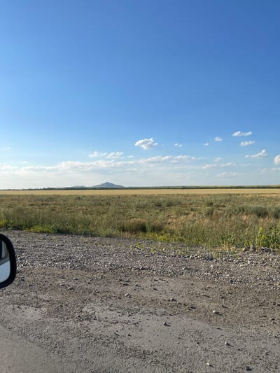 A wide shot captures a rural landscape under a clear blue sky dotted with scattered white clouds. In the foreground, a gravel road transitions to a grassy embankment with dry grasses and some scattered green vegetation. A car's side mirror is visible on the left edge of the frame. The middle ground features a vast, golden field of crops, likely wheat or barley, stretching towards a line of trees in the distance. Beyond the trees, a distant, rugged mountain range with visible rocky outcrops is silhouetted against the horizon. The overall scene suggests a warm, sunny day in a dry, agricultural region.