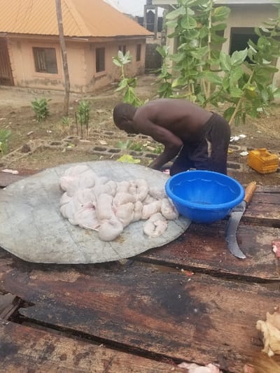 The scene is located in Pati Ridge, Nigeria, at coordinates latitude: 7.81, longitude: 6.704. A bare-chested man, wearing dark shorts, is crouched over a large pile of animal intestines on a wooden platform. The intestines are arranged in a circular pattern on a metal sheet. A blue plastic bowl and a large knife are positioned next to the intestines. There is a small, yellow plastic container in the background. The scene is partially obscured by a large green bush with wide leaves. A small, light-colored house is in the background. The ground surrounding the platform is covered with dirt and small plants.