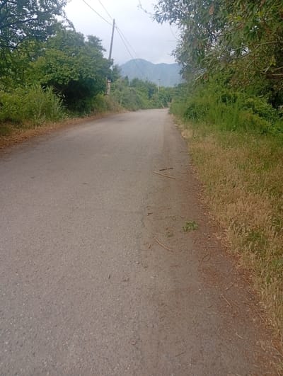 The image depicts a paved road winding through a lush, green environment with mountains in the background. The road surface is asphalt, with dry grass and fallen twigs along the right side. Dense vegetation, including trees and bushes, borders the road on both sides. A utility pole with electrical wires is visible on the left side of the road, extending upwards towards a cloudy sky. The overall scene suggests a rural or semi-rural setting, likely in the vicinity of Tash-Moinok, Kyrgyzstan, characterized by natural landscapes and basic infrastructure. There are no people or specific actions captured in this static image.
