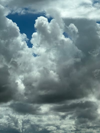 The image is a close-up shot of a dramatic sky filled with dense, cumulus clouds. The clouds are varied in color, ranging from bright white where the sun is hitting them, to dark gray and even black in the shadowed areas, suggesting a turbulent atmosphere or impending weather change. The sky is a deep blue visible in the gaps between the clouds. The perspective is looking directly upwards, emphasizing the scale and texture of the cloud formations. There are no people, objects, or structures visible in the frame, making it a purely atmospheric study. The location is specified as Островное, Russia, which implies this is a natural phenomenon observed from that geographical area.