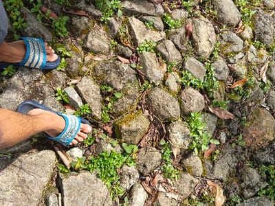 A top-down photographic view captures two human feet, clad in dark blue sandals with light blue and white striped straps, positioned on a coarse stone pathway. The pathway is composed of irregularly shaped, greyish-brown stones of various sizes, with green herbaceous vegetation and moss growing within the crevices. Scattered dried brown leaves and small twigs are visible among the stones and plant life. The exposed skin on the ankles and feet exhibits a tanned complexion with visible body hair. The subject appears to be standing or walking on this outdoor pathway in the city of Nanlao, China.