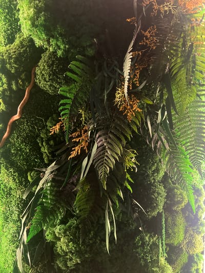 This is a close-up, overhead shot of a lush, artificial vertical garden wall composed of various shades of green foliage, mosses, and ferns. The arrangement is dense and layered, creating a rich, textured surface. Dominating the composition are several large, feathery fern fronds, some a vibrant green and others with a more subdued, purplish hue. Interspersed among the ferns are clusters of small, branching dried flowers that are a rusty, orange-brown color, providing a contrasting element. The lower portion of the image features a curved, light brown branch or root-like structure winding through the greenery. The overall impression is one of abundant, natural growth, reminiscent of a dense forest floor or a vibrant woodland undergrowth. The lighting appears to be artificial, highlighting the textures and colors of the plants, and creating some areas of shadow that add depth. No people, text, or specific time of day or weather cues are visible. The location context of "Minsk, Russia" suggests this could be an interior decorative installation, perhaps in a public space or a building in that city.